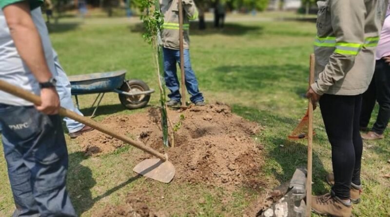 servidores do Serviços Públicos plantando uma muda de árvore em Poços de Caldas-MG