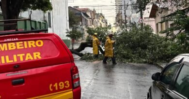 bombeiros em atendimento a ocorrência de queda de árvore em via pública em Alfenas-MG