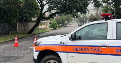 rua interditada após queda de árvore na zona oeste de Poços de Caldas-MG