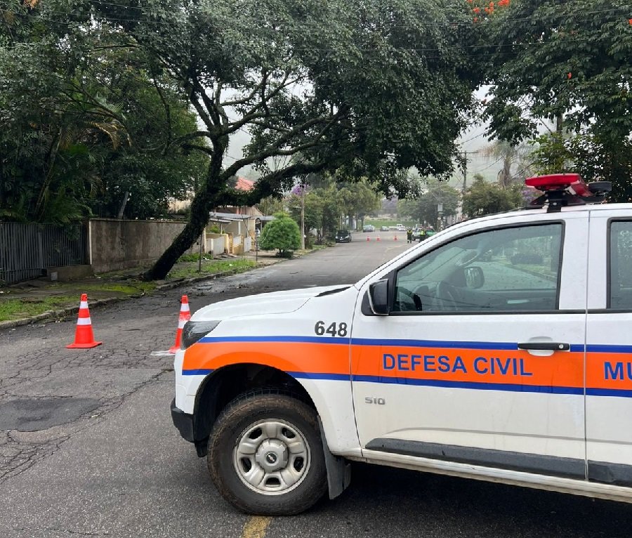rua interditada após queda de árvore na zona oeste de Poços de Caldas-MG