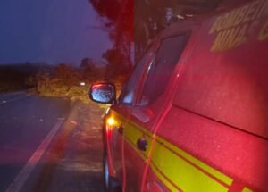 viatura do corpo de bombeiros na mgc 179 após queda de árvore na rodovia