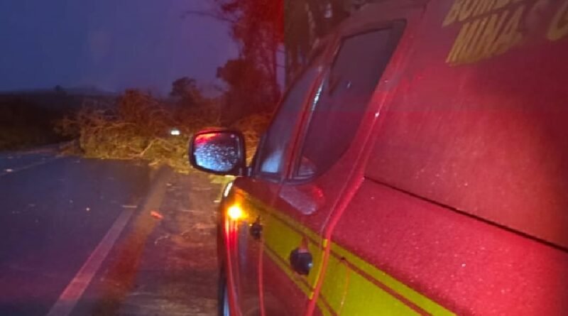 viatura do corpo de bombeiros na mgc 179 após queda de árvore na rodovia