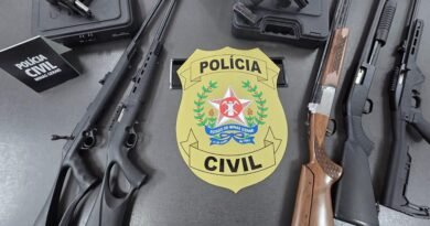 Armas apreendidas pela Policia Civil e que estão relacionadas a crimes de violência doméstica