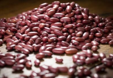 Produção de feijão cresce em Minas e sustenta liderança no Sudeste