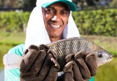 Piscicultura mineira preparada para a Semana Santa