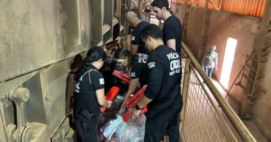 droga apreendida pela Polícia Civil incinerada