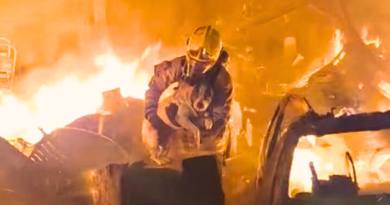 bombeiro salvando uma cadela durante um incêndio em uma oficina em Pouso Alegre