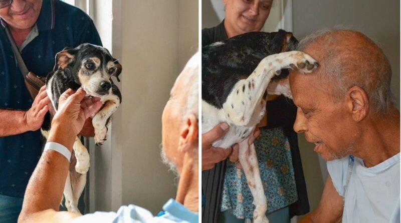 cachorro Cadu durante visita ao o amigo Luís na Santa Casa de Poços de Caldas-Mg