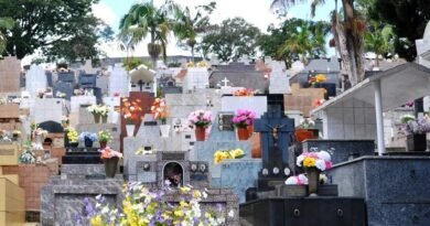 túmulos Cemitério da Saudade de Poços de Caldas-MG