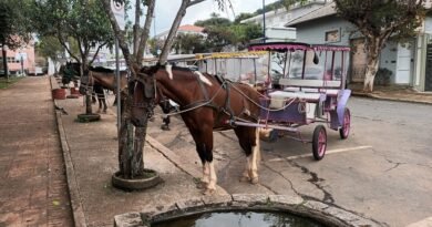 charretes turísticas de Poços de Caldas