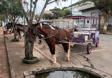 charretes turísticas de Poços de Caldas