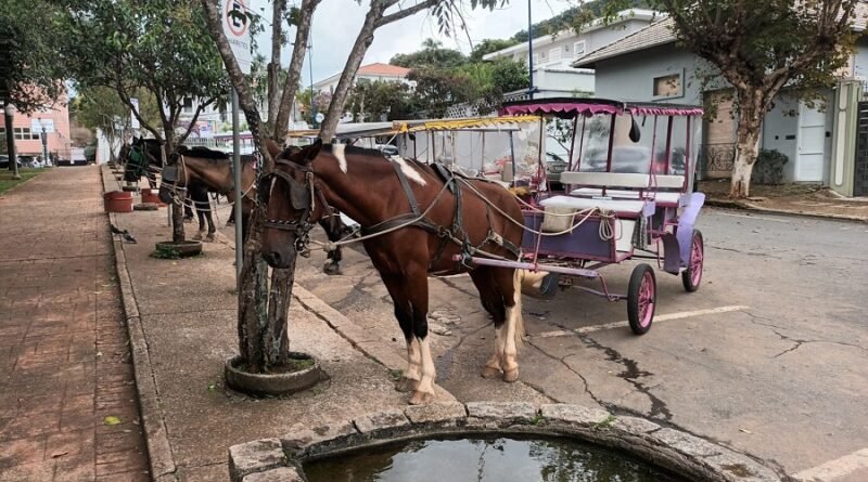 charretes turísticas de Poços de Caldas