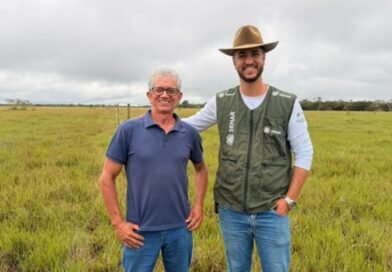 Crise do leite leva à diversificação de atividades