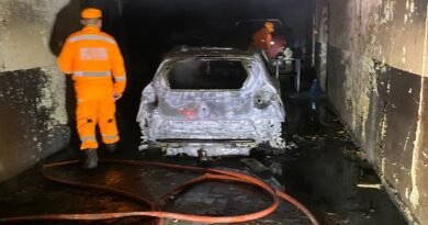 carro destruído por incêndio criminoso em Campestre-MG