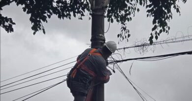 técnico do DME limpando fiação de internet e telefonia dos postes de iluminação pública