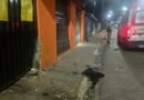 parede onde motociclista bateu violentamente na zona sul da cidade