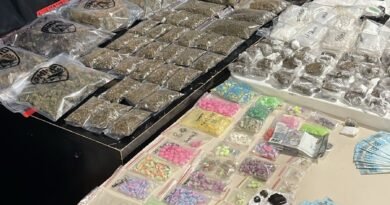 drogas e dinheiro apreendidas pela pm