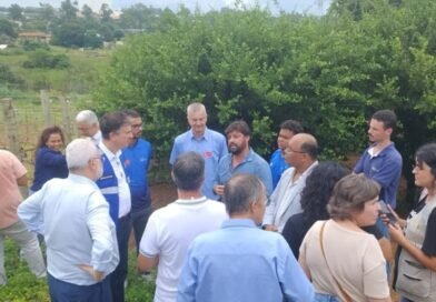 O potencial da vitivinicultura de inverno em MG