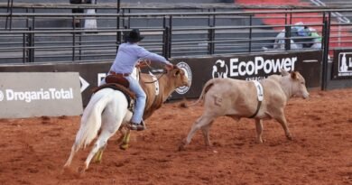 peão em montaria de rodeio
