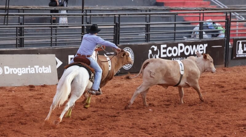 peão em montaria de rodeio