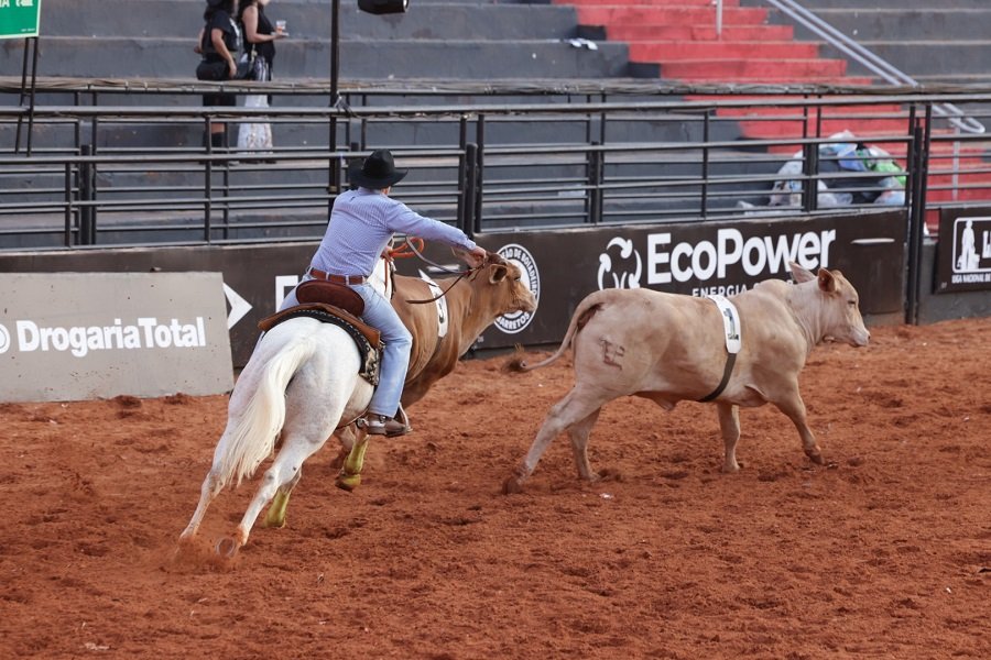 peão em montaria de rodeio