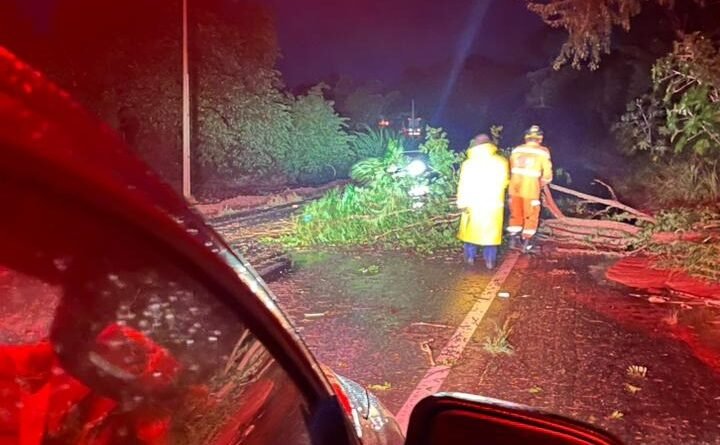 bombeiros removendo árvores da rodovia mg 1709 em Machado