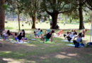 Semana S vai contar com 20 atividades gratuitas em Poços de Caldas ioga parque municipal
