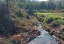 Pai e filho são preso após desmatamento em área de preservação permanente em Caldas área de preservação ambiental desmatada irregularmente em Caldas