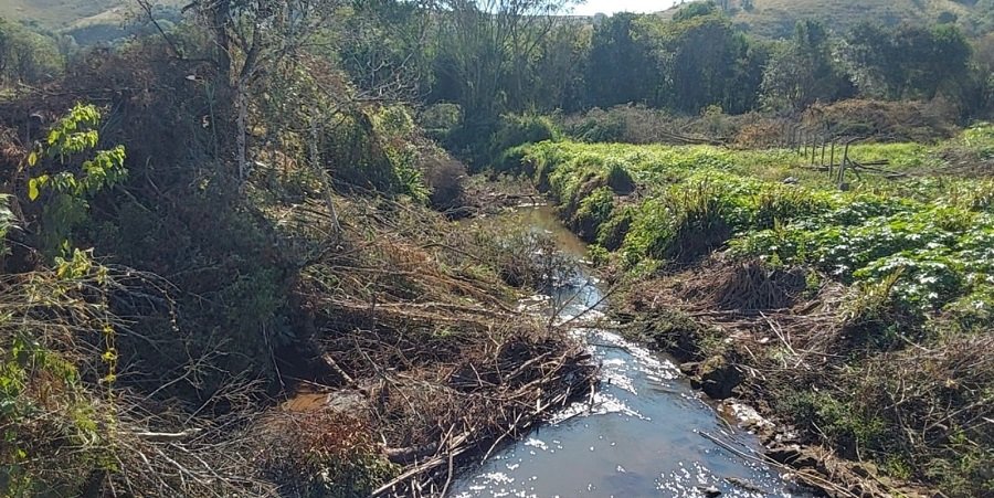 área de preservação ambiental desmatada irregularmente em Caldas