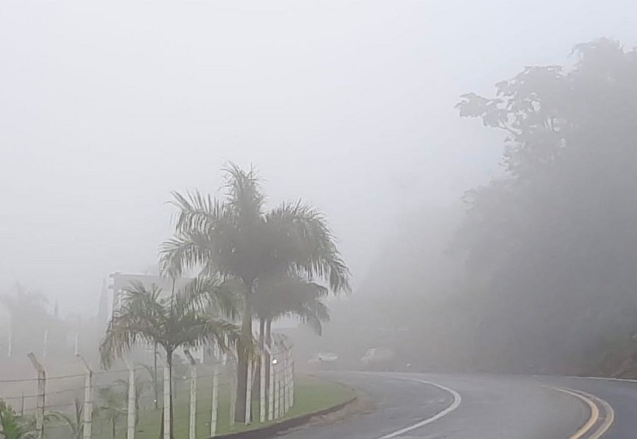 neblina na rodovia