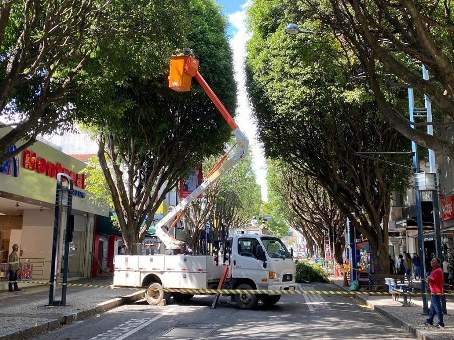 poda de árvores na rua São Paulo