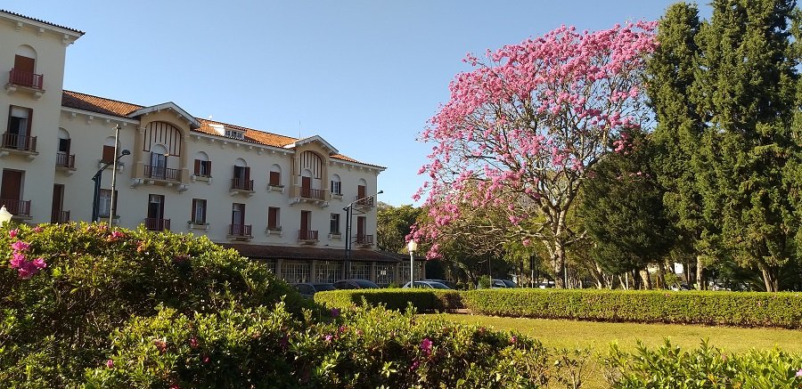 parque josé affonso junqueira