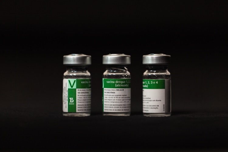 vacina contra dengue