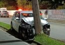 Motorista dorme ao volante e bate em poste na zona leste carro após bater em poste na Avenida José Remigio Prezia