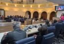 Comissão de Terras Raras reforça a importância de estudos independentes reunião comissão terras raras