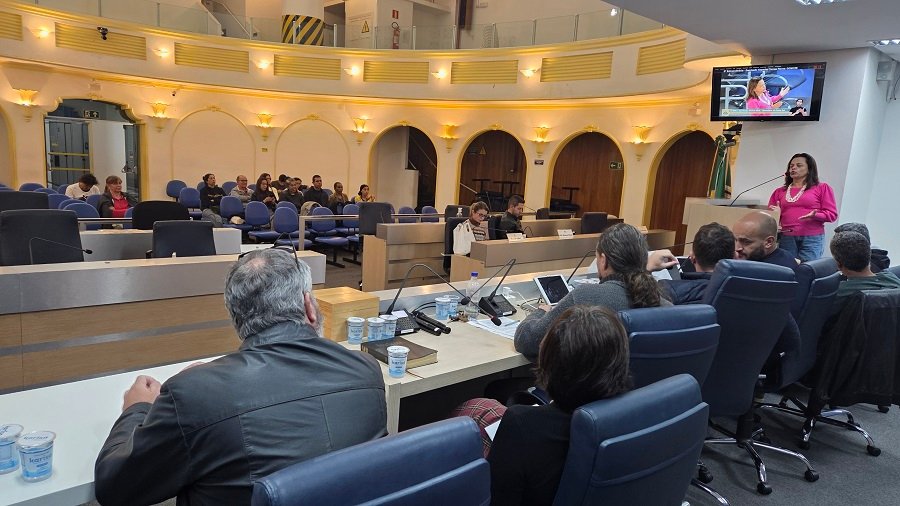 reunião comissão terras raras