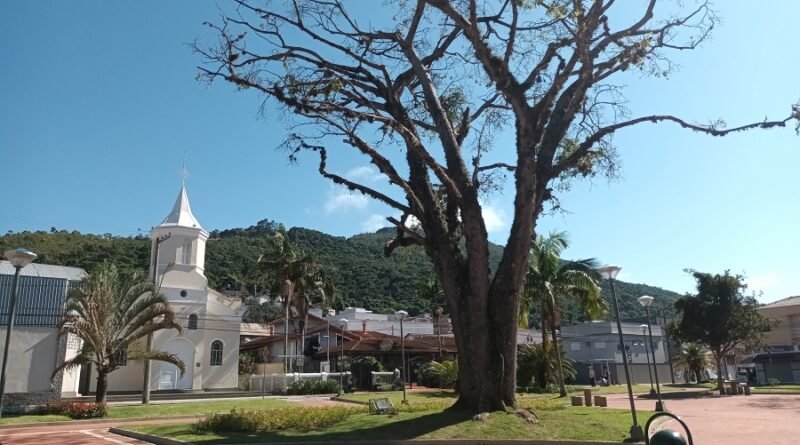 Previsão do tempo em Poços de Caldas-MG Praça Paulo Affonso Junqueira - Praça da Apae