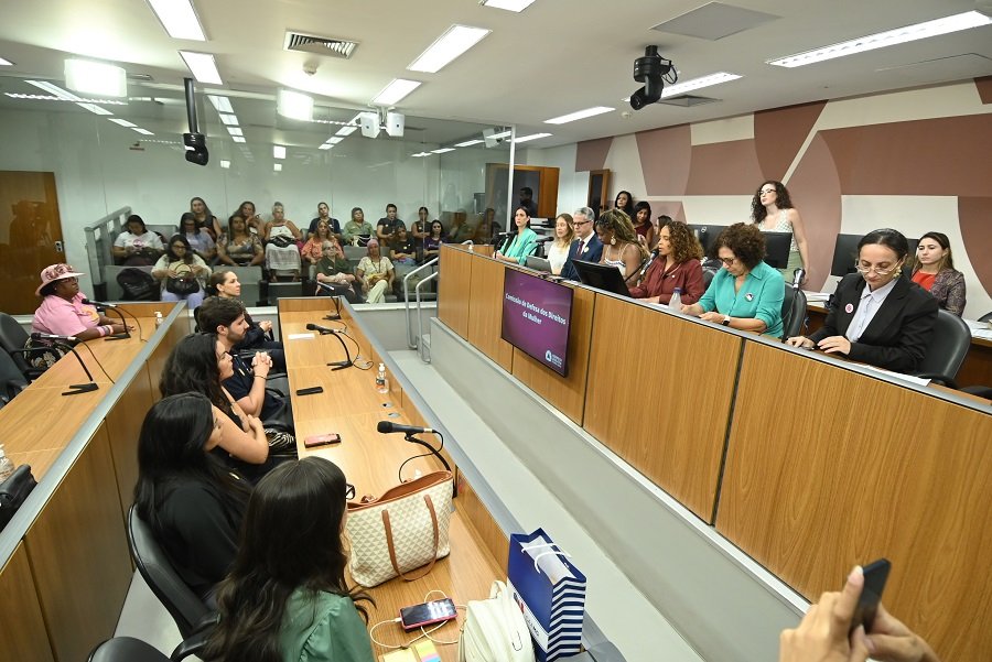 Lorene Castro Borboleta de Lima (assessora da Subsecretaria de Política dos Direitos das Mulheres da Secretaria de Estado de Desenvolvimento Social),Maria Cecília Pinto e Oliveira (Defensora Publica Especializada na Defesa dos Direitos das Mulheres em Situação de Violência),
Marcelo Gonçalves de Paula (Juiz Titular do 2º Juizado de Violência Doméstica e Familiar Contra a Mulher em Situação de Violência Doméstica e Família – Cosmiv),
Bárbara Ravenna (presidente do Conselho Estadual da Mulher de Minas Gerais),
Ana Paula Siqueira (deputada estadual PT/MG),
Dirlene Marques (Coordenadora do Movimento 8M Unificado - Região Metropolitana de BH),
Verônica Cristina Souza Suriani (Integrante do Comitê Gestor da Rede de Enfrentamento à Violência Contra a Mulher de Minas Gerais – Rede-MG)