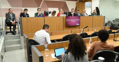 Cientistas defendem criação de Centro de Inteligência e Tecnologia em Terras Raras audiência pública na ALMG sobre a criação do Citar
