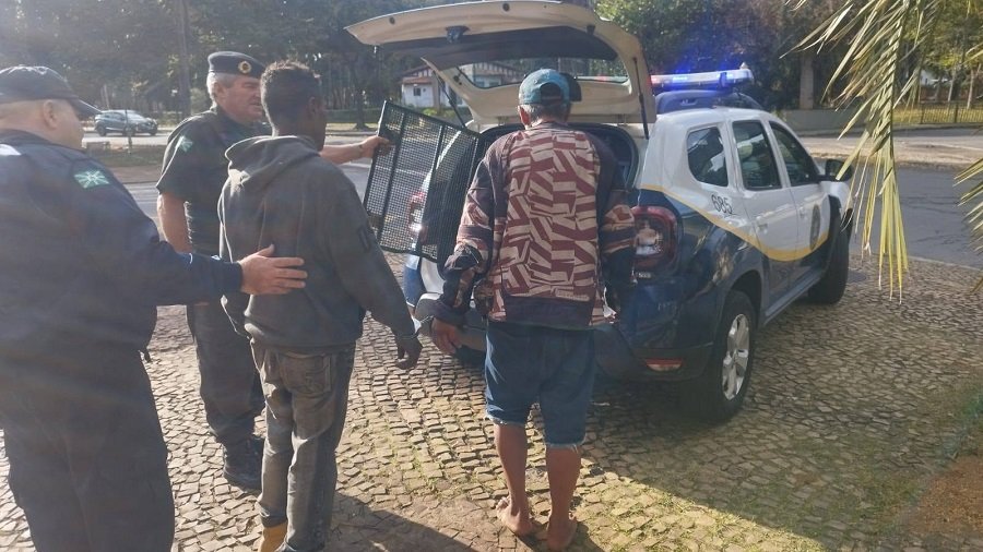 dupla sendo presa pela GCM após tentativa de furto de fiação elétrica