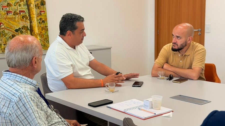 reunião integrantes do comitê das terras raras