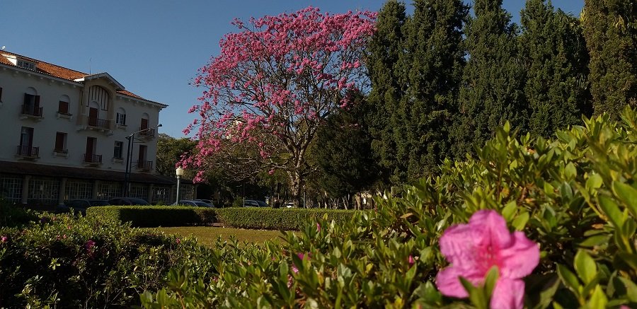 Parque José Affonso Junqueira