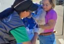 Vacinação antirrábica antecipada segue até 21 de agosto em áreas próximas à ocorrência de raiva animal cão sendo vacinado contra raiva