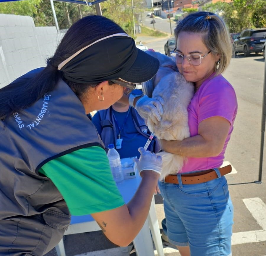 cão sendo vacinado contra raiva