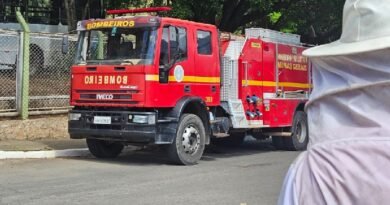 Idoso atacado por abelhas recebe alta hospitalar em Andradas bombeiros durante ocorrência de ataque de abelhas