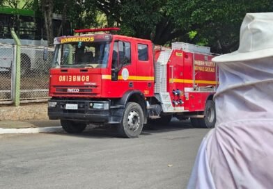 Idoso atacado por abelhas recebe alta hospitalar em Andradas bombeiros durante ocorrência de ataque de abelhas