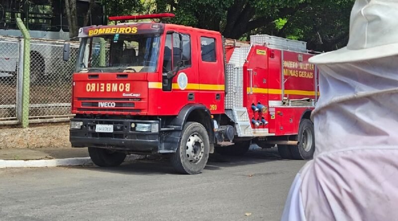 Idoso atacado por abelhas recebe alta hospitalar em Andradas bombeiros durante ocorrência de ataque de abelhas