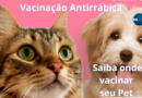 Vacinação Antirrábica: Confira o cronograma nos bairros de Poços de Caldas-MG Vacinação Antirrábica: Confira o cronograma nos bairros de Poços de Caldas-MG