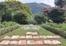 Inicio da Primavera será marcado por chuva e temperatura elevada em Poços de Caldas calendário floral de poços de caldas
