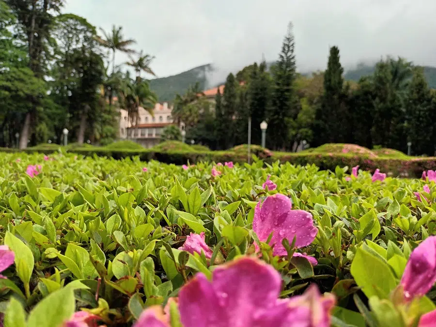 Parque Jose Affonso Junqueira